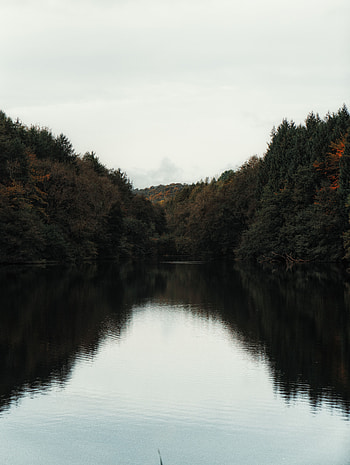 Landscape, Nature, Water, Trees, Lake, Shore, Bank HD phone wallpaper