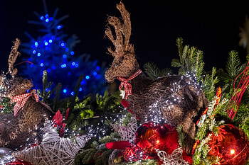 Holidays, New Year, Christmas, Balls, Deer, Christmas Toys, New Year's Toys HD wallpaper