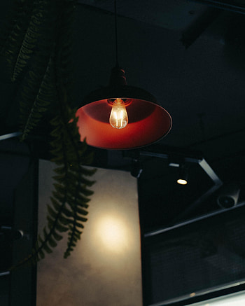 Miscellanea, Miscellaneous, Lamp, Glow, Room, Indoor Plant, Houseplant HD phone wallpaper