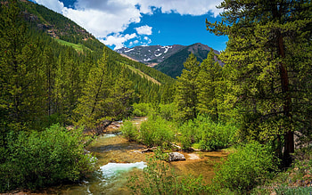 A river valley in Colorado, clouds, trees, landscape, sky, mountains, forest, usa HD wallpaper