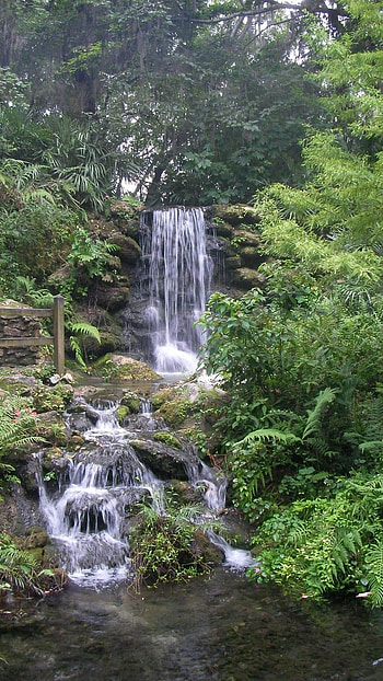 Springs, Background HD phone wallpaper