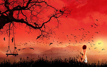 Anime girl susset, anime, bird, sky, girl, sunset HD wallpaper