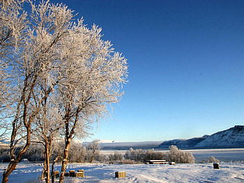 Winter, Nature, Lake, Shore, Bank, Frost, Hoarfrost HD wallpaper