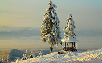 Winter, Nature, Trees, Mountains, Snow, Relief, Bower, Alcove HD wallpaper
