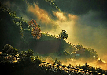 Summer storm, fog, hills, clouds, trees, misty valley, stormy sky HD wallpaper