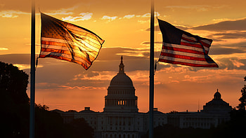 US Capitol building and US flags, Washington, DC, flag, man made, United States Capitol HD wallpaper