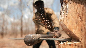 Chopping Trees With Axe, axe, trees HD wallpaper