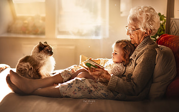 my grandma, cats, grandma, grannies, child HD wallpaper