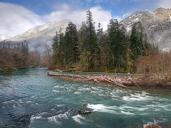 Nature, Rivers, Trees, Mountains, Fog, Ate HD wallpaper