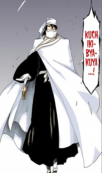 Byakuya's White Requiem — Thousand-Year Blood War , Anime, Bleach: Thousand-Year Blood War HD phone wallpaper