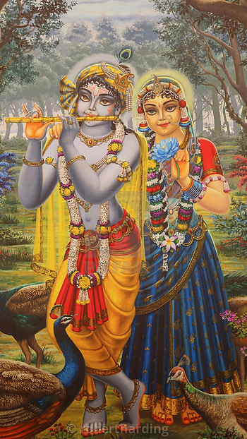 Radha Krishna , God Couple HD phone wallpaper