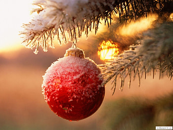 Snow, Holidays, New Year, Toys, Christmas, Xmas HD wallpaper