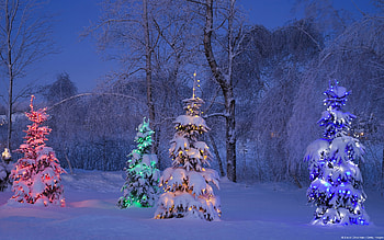 Christmas And Screensavers HD wallpaper