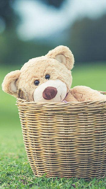 Teddy Bear Live, Love, Toy HD phone wallpaper