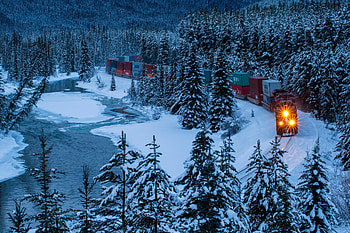 Branff National Park, White, Albert, Train, Canada, Trees HD wallpaper