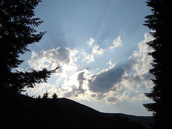 A cloudy day, summer, cloudy, day, forest HD wallpaper