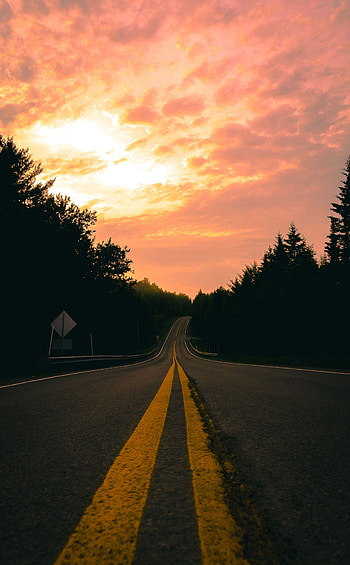 Nature, Sunset, Road, Turn, Markup, Forest HD phone wallpaper