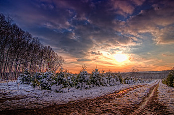 First Impressions of Winter, path, snow, landscape, clouds, trees, sun, sunset HD wallpaper