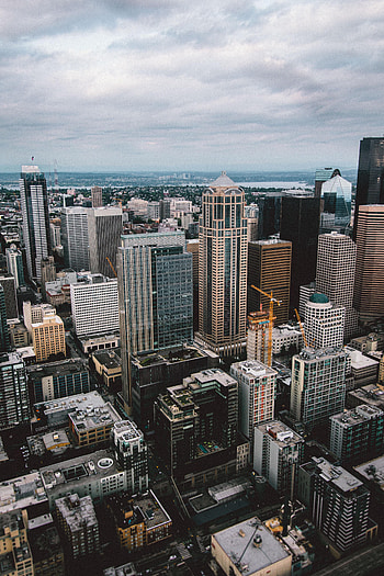 Cities, City, Skyscraper, Building, Road HD phone wallpaper