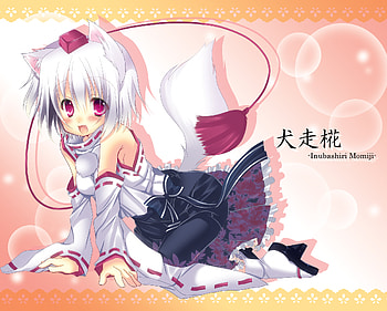 inubashiri momiji, japanese clothes, red eyes, bare shoulders, highres, animal tail, looking at viewer, short hair, white socks, detached sleeves, hat, girl, kawaii, animal ears, hikanyan, anime, white hair, touhou, blush, solo HD wallpaper