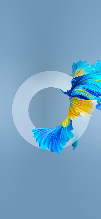O, apple, light, abstract HD phone wallpaper