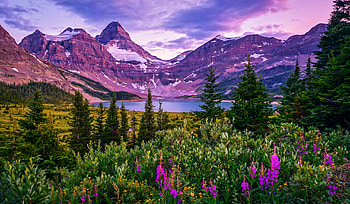 Lndscape with mountain and lake, park, mountain, lake, majestic, beautiful, spring, serenity, summer, wildflowers, sky, wilderness, peak HD wallpaper
