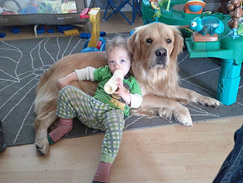 SOFT SPOT TO WATCH TV, BOY, TV, DOG, WATCHING HD wallpaper