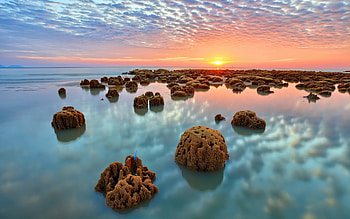A New Day, sea, clouds, ocean view, sky, nature, sunrise, ocean HD wallpaper