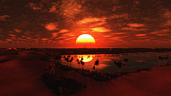 Palm Sunday Morning , nature, morning, deviantart HD wallpaper