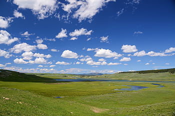 Expansive grasslands with vibrant green hues under a bright blue sky punctuated by fluffy clouds. HD wallpaper