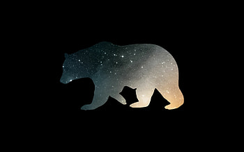 Minimalist bears, Artistic , Simple elegance, Captivating ry HD wallpaper