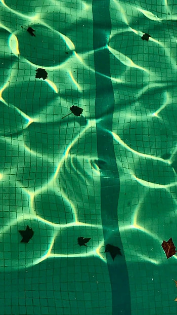 Green Aesthetic, Swimming Tank HD phone wallpaper