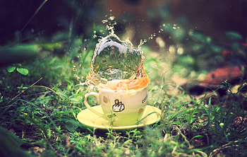 Grass, Macro, Cup, Spray, Greens, Land, Earth, Tea, Saucer HD wallpaper