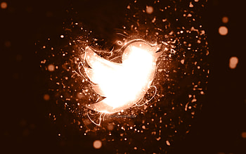 Twitter brown logo, , brown neon lights, creative, brown abstract background, Twitter logo, social network, Twitter HD wallpaper