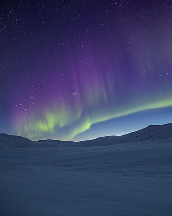 Captivating Northern Lights over a serene snowy landscape under a starry night sky. HD phone wallpaper