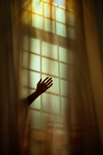 Hand, Miscellanea, Miscellaneous, Shadow, Window, Curtain HD phone wallpaper