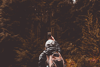 Miscellanea, Miscellaneous, Forest, Journey, Stroll, Mood, Tourist HD wallpaper