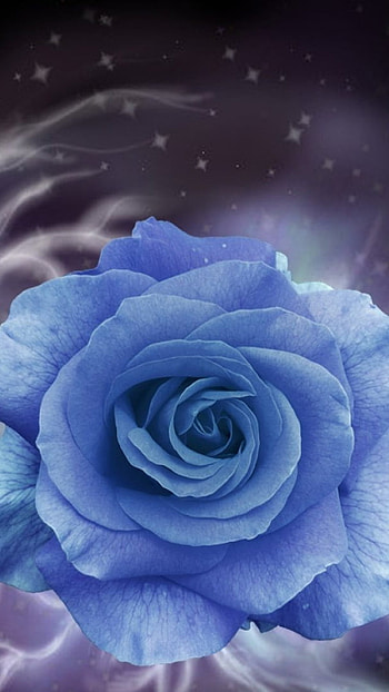 Blue Rose, Beautiful Background, Flower Art, beautiful, background HD phone wallpaper