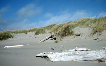 Bullard Beach, blue, sky, nature, beaches HD wallpaper