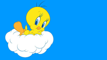 Looney Tunes Tweety Bird, Animation, Top Backgrounds HD wallpaper