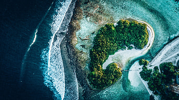 Nature, Water, Trees, View From Above, Ocean, Islands HD wallpaper