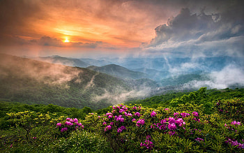 North Carolina Blue Ridge Parkway Spring Appalachian Mountains, fog, blossoms, north carolina, colors, sky, flowers, usa HD wallpaper