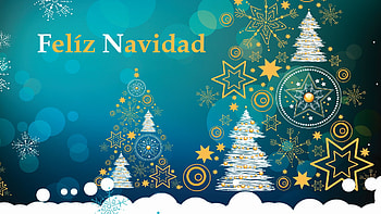 Christmas Trees Stars Snowflakes Bokeh Background Christmas HD wallpaper