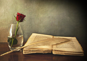 Old, Feather, Miscellanea, Miscellaneous, Rose Flower, Rose, Table, Vase, Book, Pen HD wallpaper
