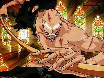 Don't tell any one you show me doing this bankaiiii, bleach, bankai, anime, fighters HD wallpaper