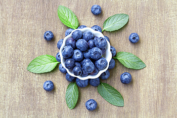 Fresh blueberry bowl, summer HD wallpaper