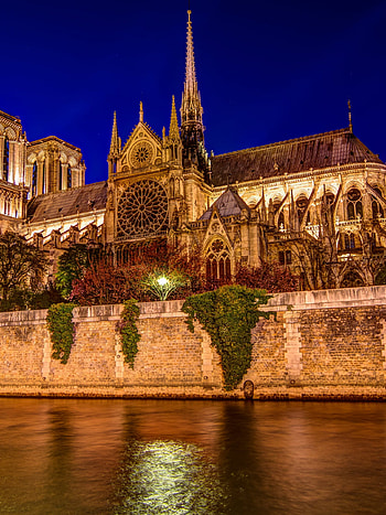 Notre-Dame Cathedral, Travels, , Parisian beauty HD phone wallpaper