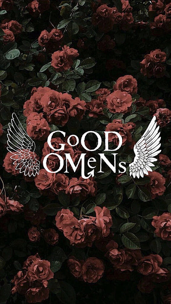 Good Omens bg, rose, GoodOmens HD phone wallpaper