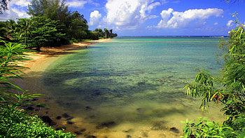 Landscape, Sea, Beach HD wallpaper