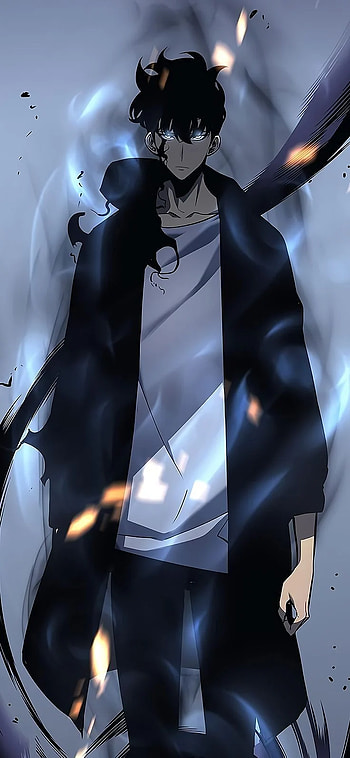 Solo Leveling Live, Solo Leveling Arise HD phone wallpaper